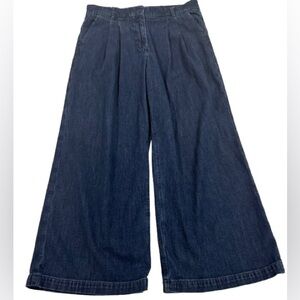 2/$20 American Eagle Outfitters pleated wide leg dark blue denim trousers short